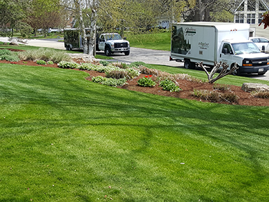 Mooder Horticultural vehicles in front of lawn maintenance property